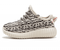 Yeezy Turtle Dove