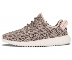 Yeezy Turtle Dove