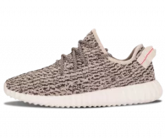 Yeezy Turtle Dove