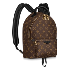 Louis Vuitton Palm Springs PM