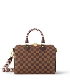 Louis Vuitton Louis Vuitton Braided Speedy 25