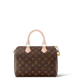 Louis Vuitton Louis Vuitton Speedy 25