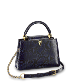 Louis Vuitton Louis Vuitton Capucines BB