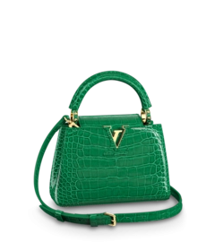 Louis Vuitton Louis Vuitton Capucines Mini