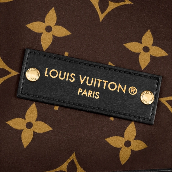 Louis Vuitton Pool Pillow Flat Comfort Mule Cacao Brown