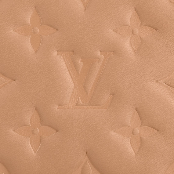 Louis Vuitton  Pochette Coussin