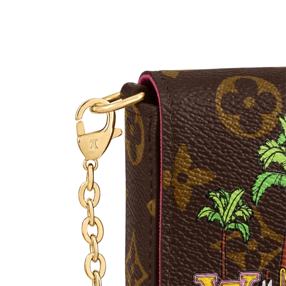 Louis Vuitton  Felicie Pochette