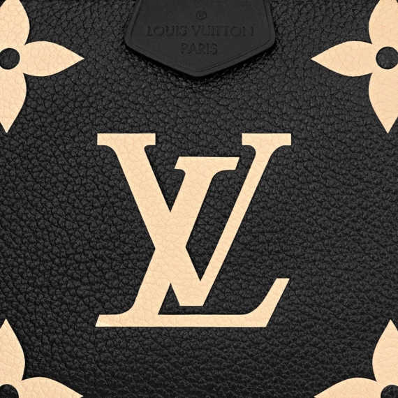 Louis Vuitton  Multi Pochette Accessoires