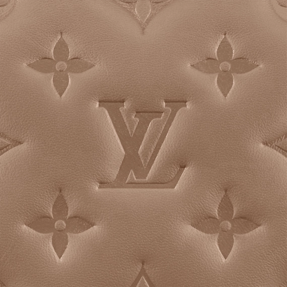 Louis Vuitton  Coussin PM