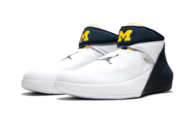 Air Jordan 31 Why Not Zero .1 Michigan PE