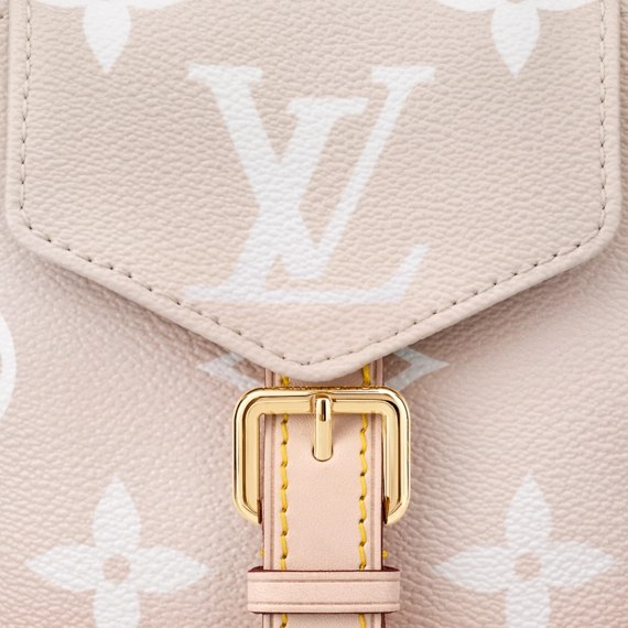 Louis Vuitton  Tiny Backpack