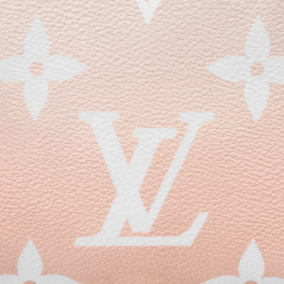 Louis Vuitton  Tiny Backpack