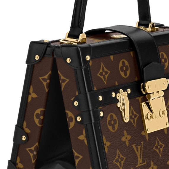 Louis Vuitton  Petite Malle V