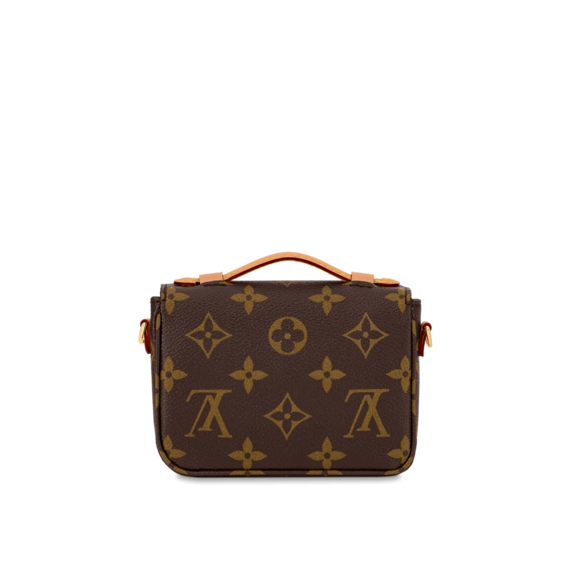 Louis Vuitton Micro Meis