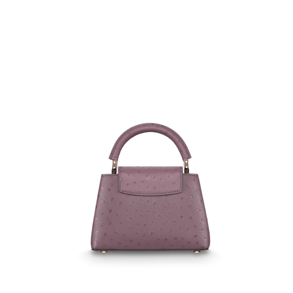 Louis Vuitton Capucines Mini Purple