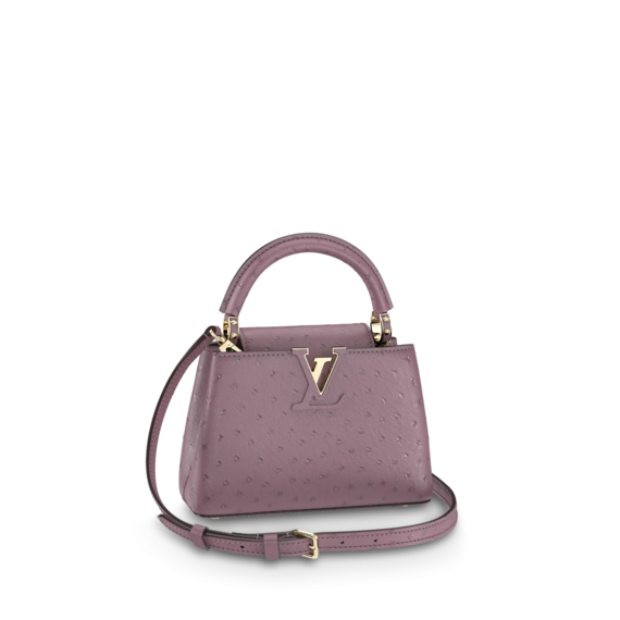 Louis Vuitton Capucines Mini Purple
