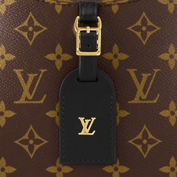 Louis Vuitton Odéon PM