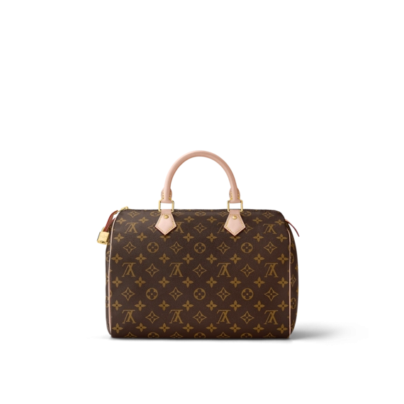 Louis Vuitton Speedy 30