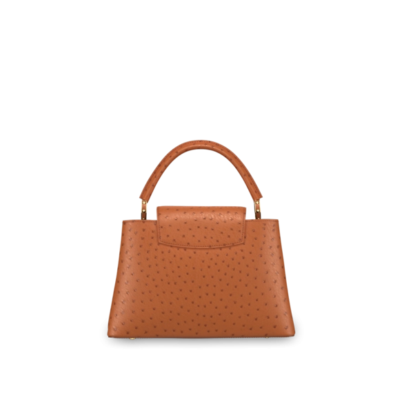 Louis Vuitton Capucines MM