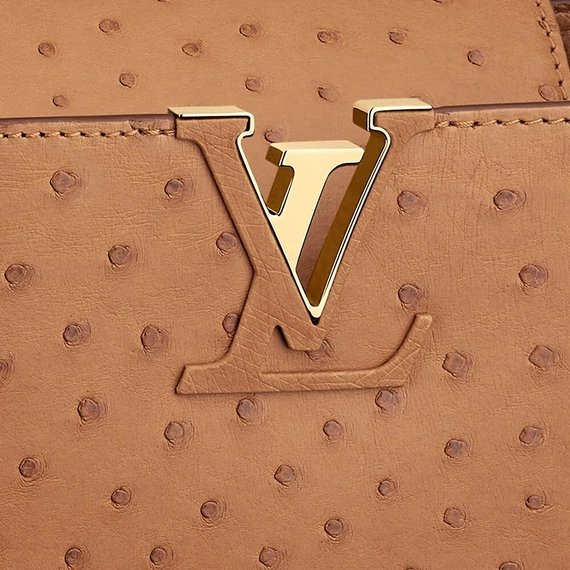 Louis Vuitton Capucines MM