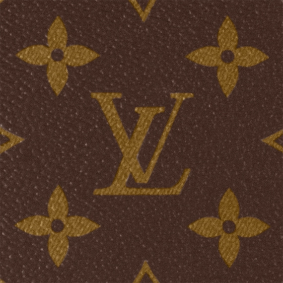 Louis Vuitton Sac Plat PM