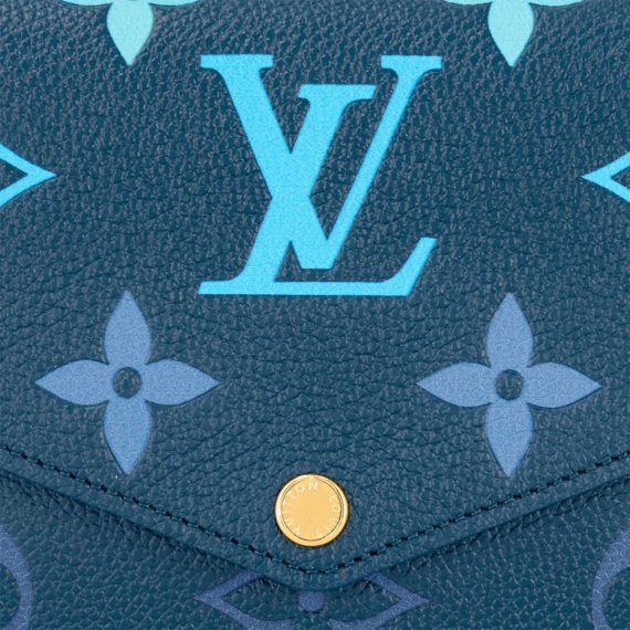 Louis Vuitton Félicie Pochette