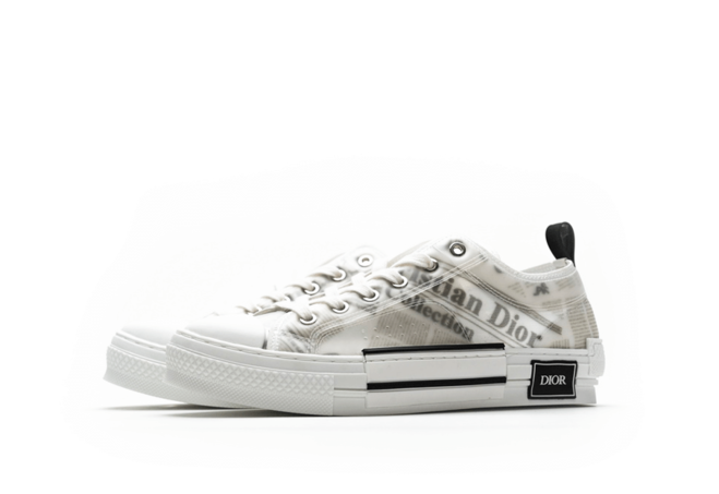 Daniel Arsham x Dior B23 Low Newsprint