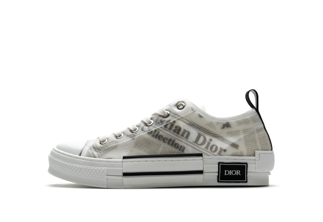 Daniel Arsham x Dior B23 Low Newsprint