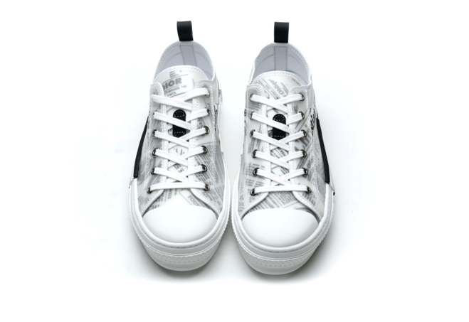 Daniel Arsham x Dior B23 Low Newsprint Black White