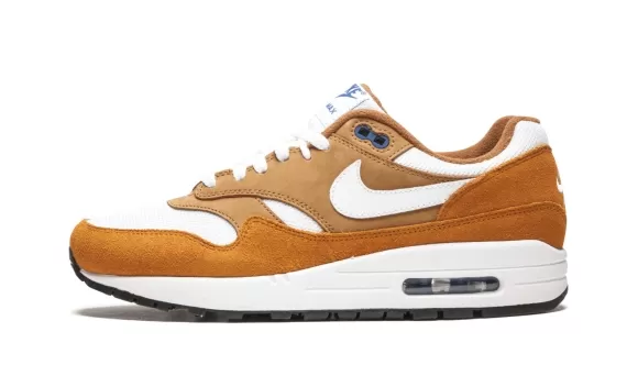 Air Max 1 Premium Retro - Dark Curry