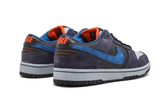 Dunk Low Pro SB - Patagonia