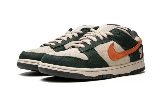 SB Dunk Low Pro - Eire