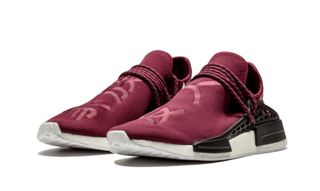 Pharrell Williams NMD Human Race - Friends and Family