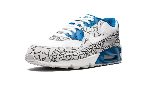 Air Max 90 Premium - Hufquake