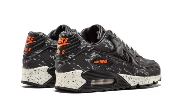 Air Max 90 Premium - Atmos