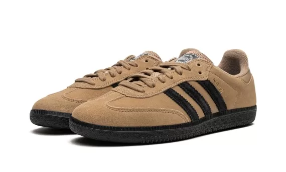 Samba ADV - Cardboard