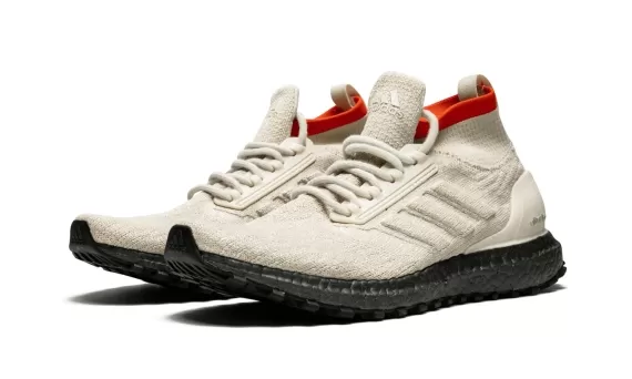 Ultra Boost All Terrain - Clear Brown