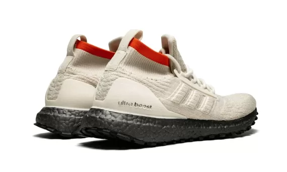 Ultra Boost All Terrain - Clear Brown