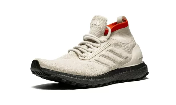 Ultra Boost All Terrain - Clear Brown
