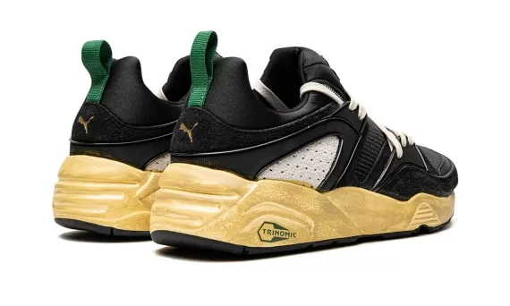 Blaze of Glory - The Neverworn