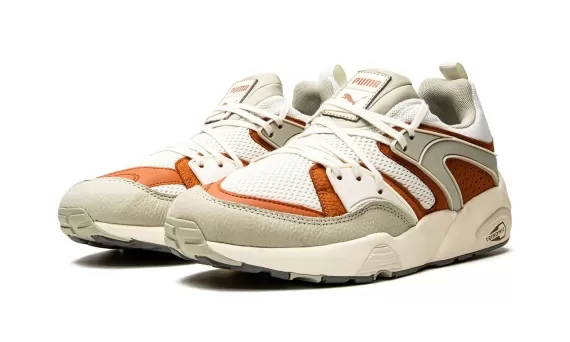 Blaze Of Glory PRM - Vaporous Gray-Warm Chestnut