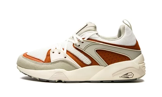 Blaze Of Glory PRM - Vaporous Gray-Warm Chestnut