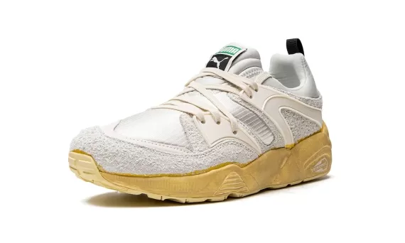 Blaze of Glory The Neverworn