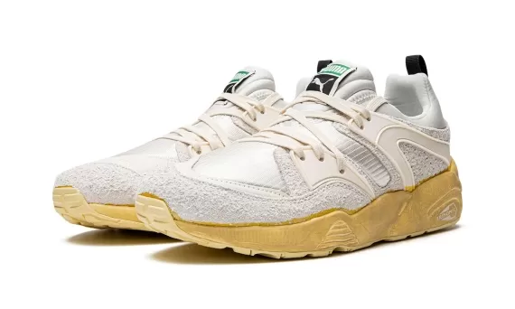 Blaze of Glory The Neverworn