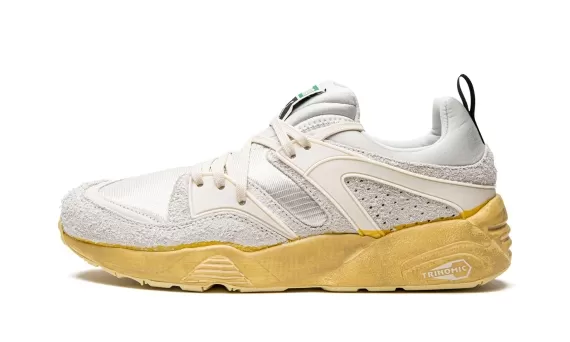 Blaze of Glory The Neverworn