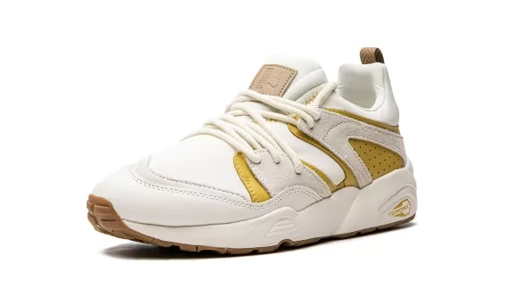 Blaze of Glory D. South - Pristine-Bamboo