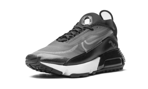 Air Max 2090 - Black / Wolf Grey